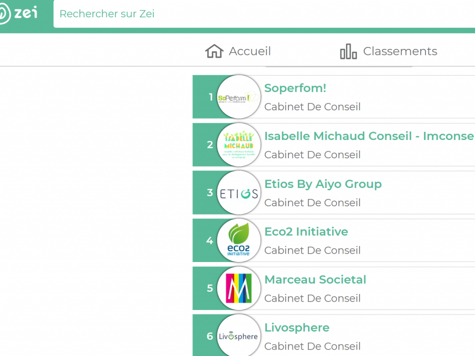 Classement ZEI 2020